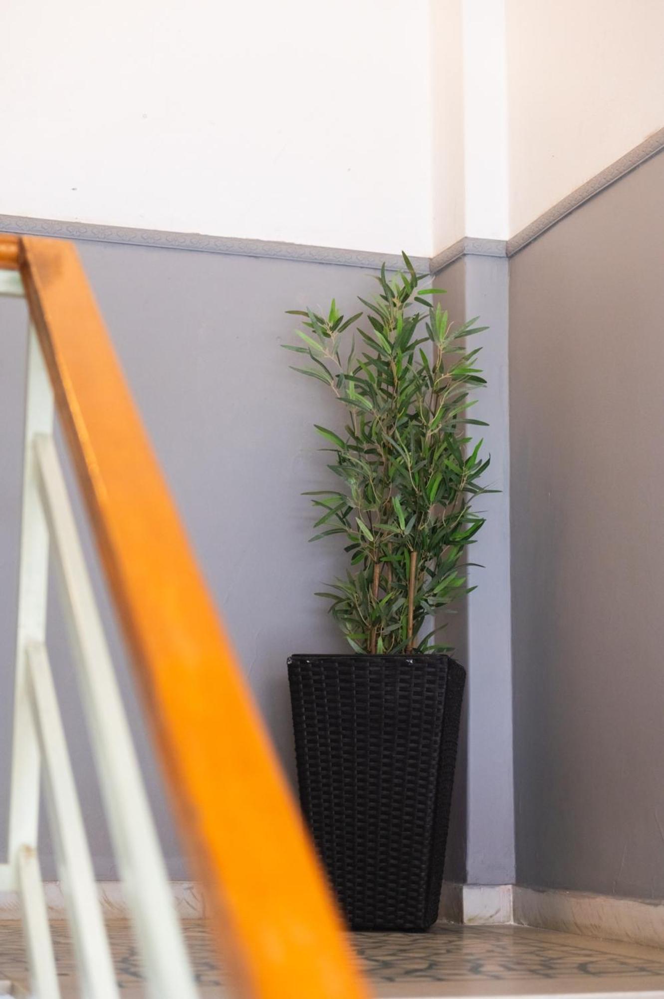 Paralion Town Apartments أليكسانثيربوليس المظهر الخارجي الصورة